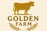 GOLDEN MINIATURE CATTLE FARM